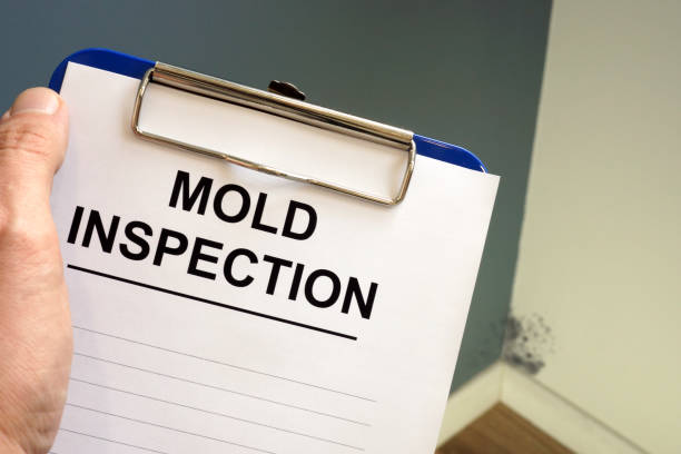 Best Asbestos and Lead Testing During Mold Inspection  in Myers Corner, NY